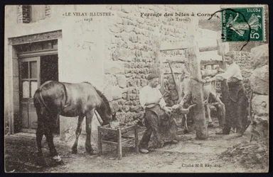 Cartolina raffigurante la ferratura di un cavallo a Cornes, Le Velay, c.1900